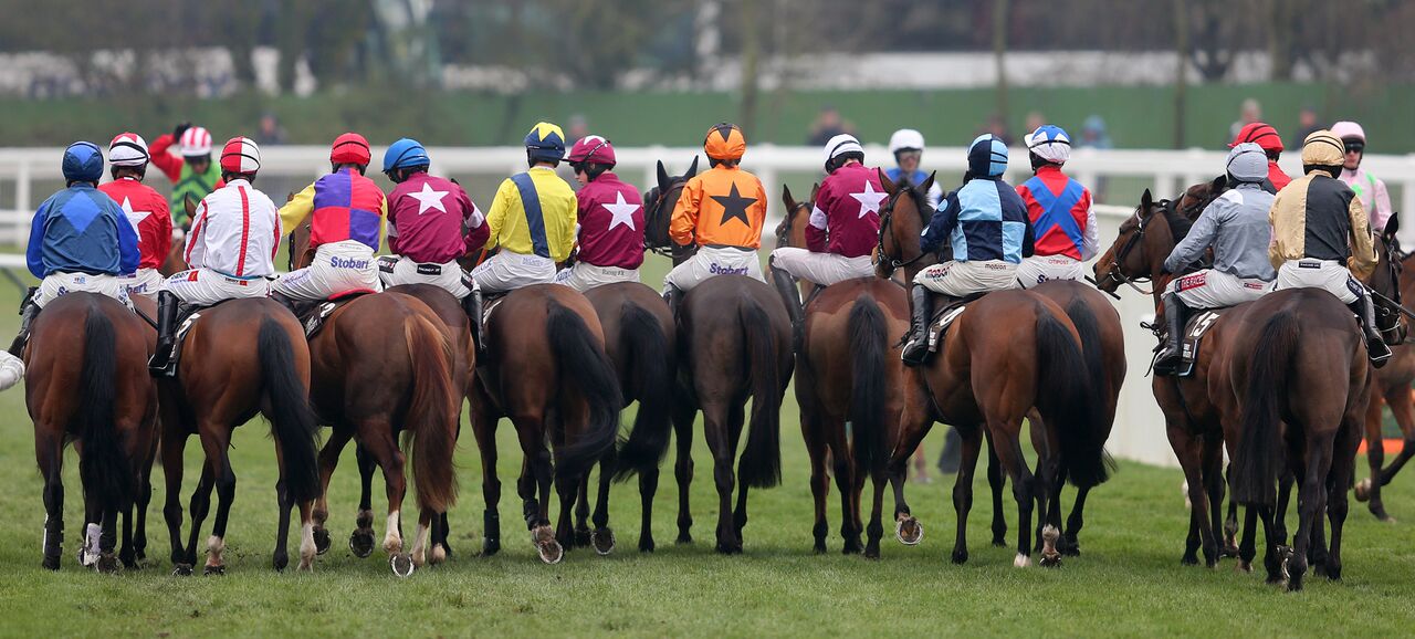 Cheltenham Festival tickets and corporate hospitality packages
